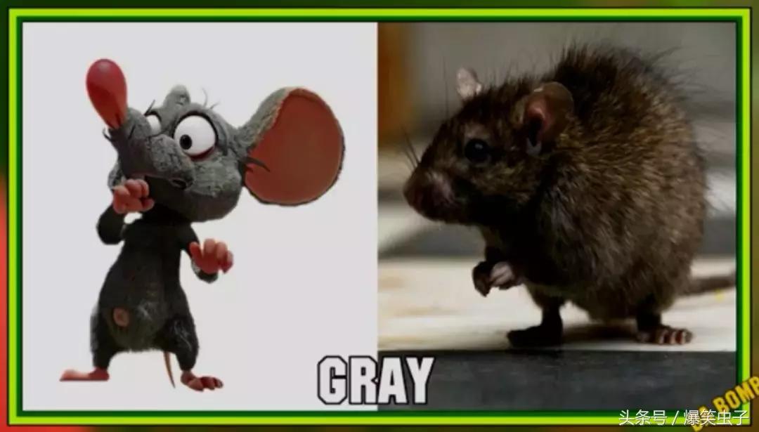 爆笑虫子小粉虫怎么来的,快速了解爆笑虫子