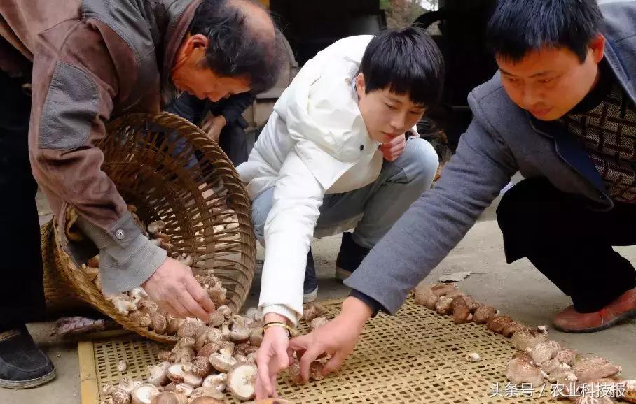 2021全国十佳农民公示名单,2021全国十佳高素质农民