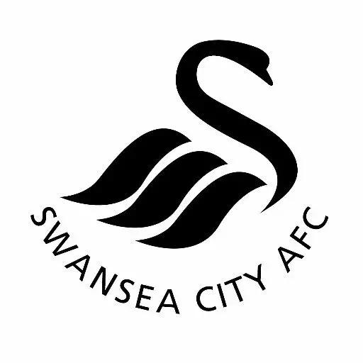 海鸥老鹰天鹅,英格兰俱乐部为什么都喜欢用鸟来做队徽?