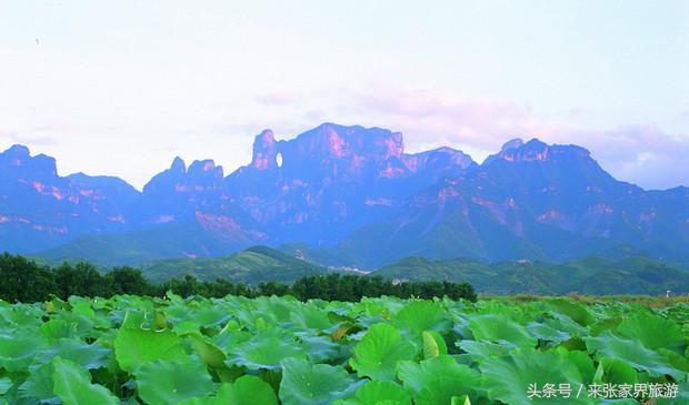 天门山自驾游景点攻略,张家界和天门山景点哪个好
