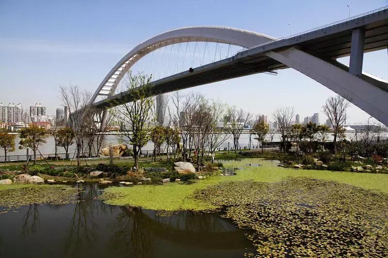 上海100个公园图片,上海有哪些免费的国家级公园