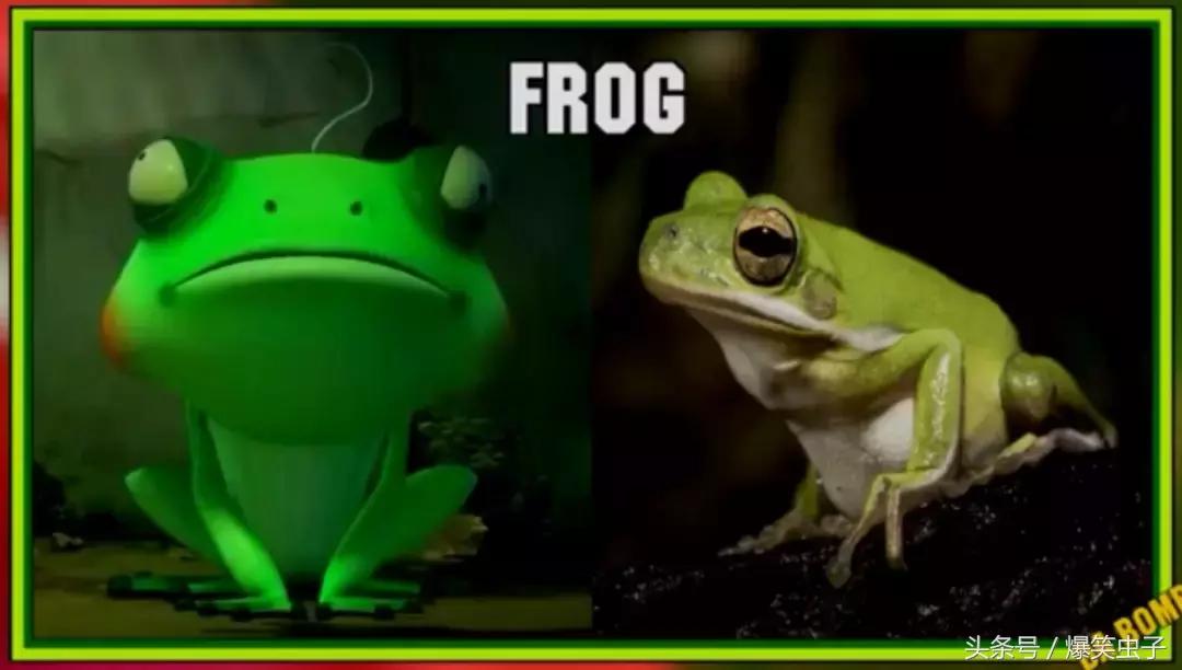 爆笑虫子小粉虫怎么来的,快速了解爆笑虫子