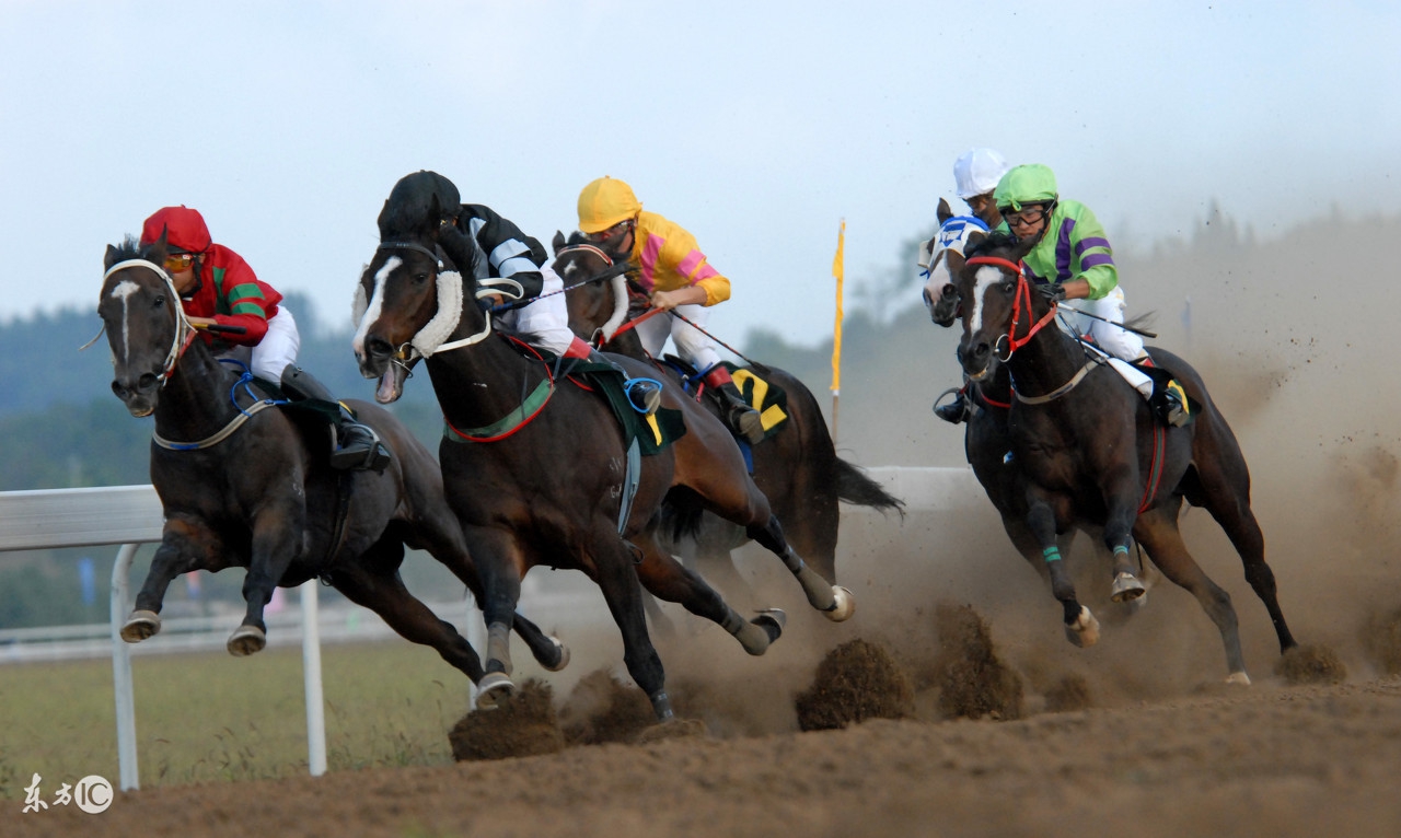 《侠盗猎车手6》的创新期盼增加“赛马、结婚、宠物”