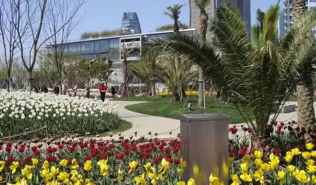 上海100个公园图片,上海有哪些免费的国家级公园