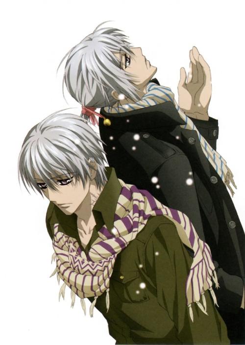 二次元里有哪些银发男神,白发高颜值二次元男