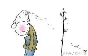 两年脱发算是早期脱发吗,正在脱发的先防脱还是生发