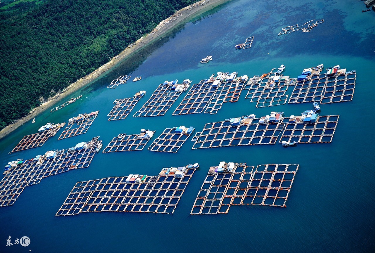 2018年比较有前景的生意项目，专注一个项目便可月入过10000