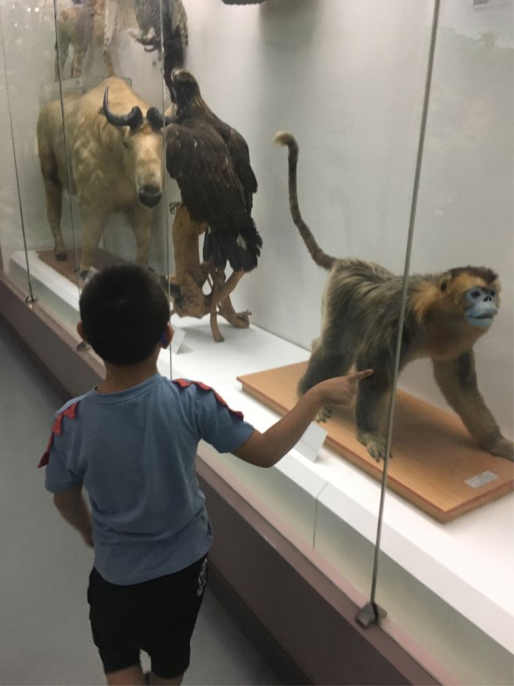 和小屁孩们一起出去玩的视频,和小屁孩玩的一天