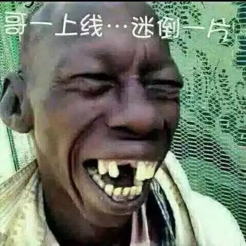 荷兰猪的牙有几个,荷兰猪的牙齿啥颜色