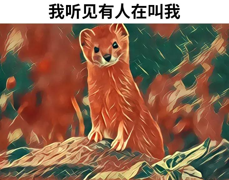 证券经纪人需要的常识,一个中介的自白