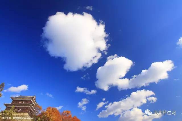 从“看肉吃饭”到终身吃素：一枚处女座男生的心路历程