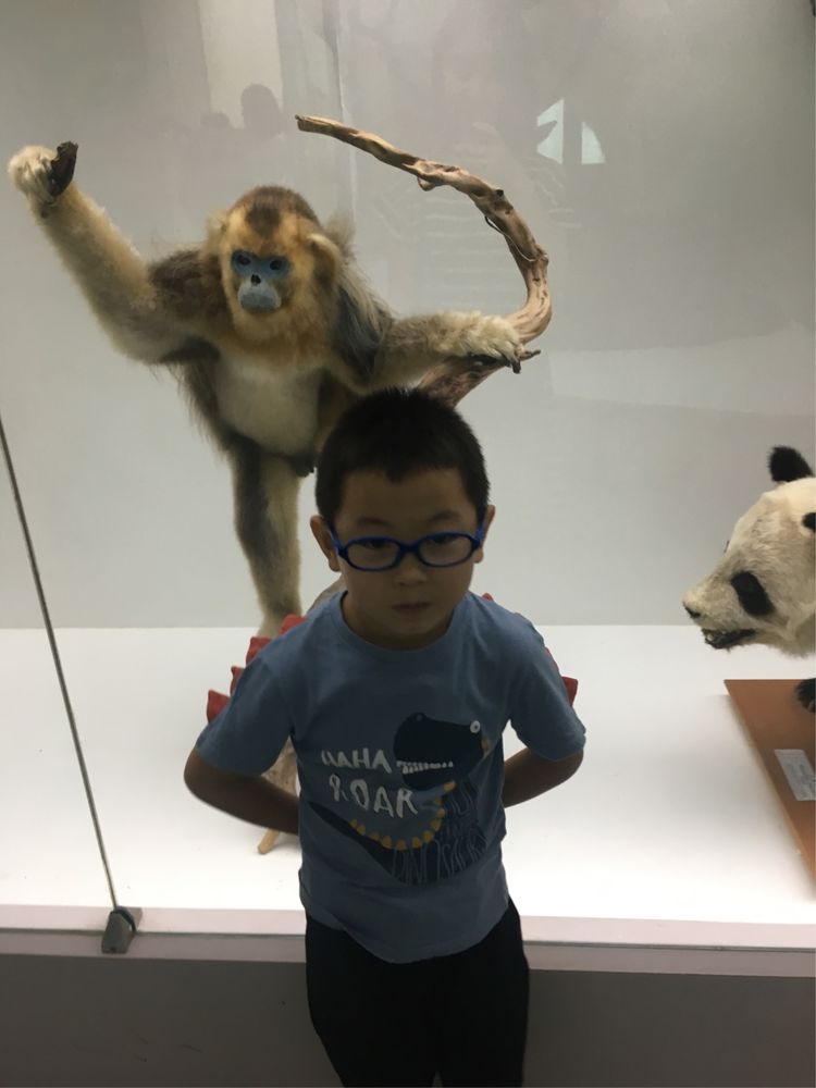 和小屁孩们一起出去玩的视频,和小屁孩玩的一天