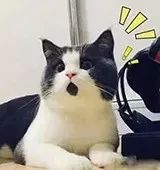 美瞳掉色后怎么清洗,美瞳含水量多少合适能戴多久