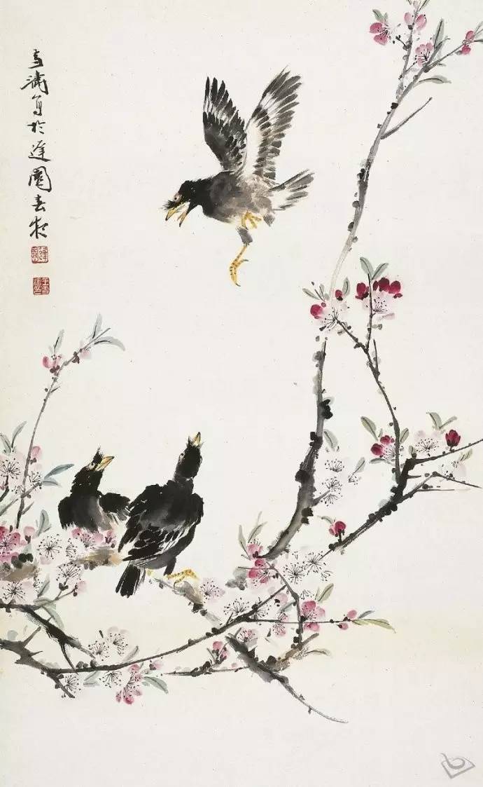 花鸟大师王雪涛画梅,王雪涛花鸟画图片梅花