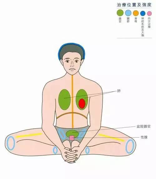 瑜伽中有一个神奇的体式,专冶妇科杂症