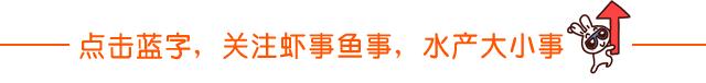 小龙虾养殖塘如何建设,养小龙虾田怎样建塘为好