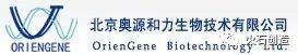 基因治疗领域哪家公司更厉害,基因制药十大科技公司