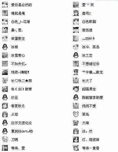 抖音网名进化版,网名的起源