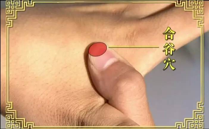 治疗晕车的妙方,五一来一场说走就走的旅行!