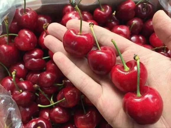 代购日子不好过了!新西兰批发商将在中国开超百家直销店,可以在家门口买纯正NZ特产啦。