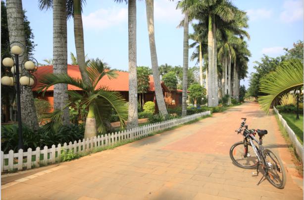 海南环岛骑行视频,海南环岛骑行驿站
