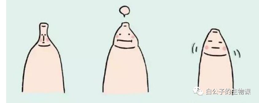 你的丁丁有症状了？再不去看医生就屎掉了！