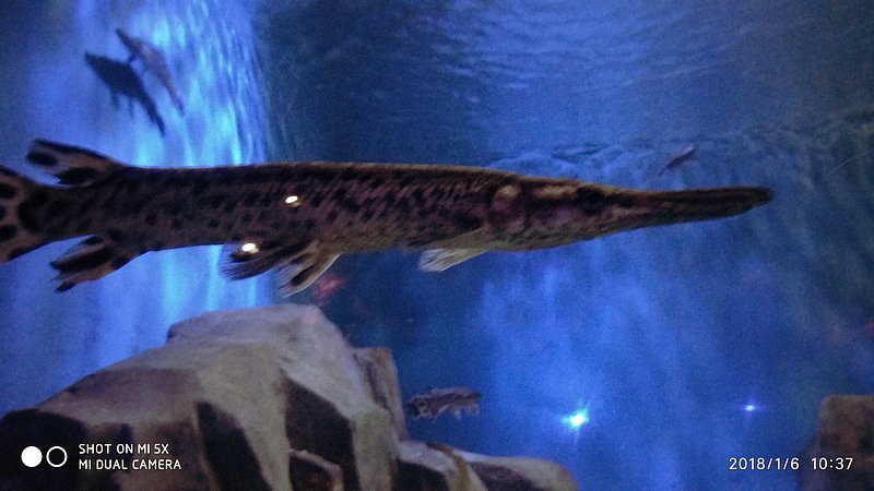 自驾游环游中国路线安徽出发,开封至安徽黄山自驾游攻略