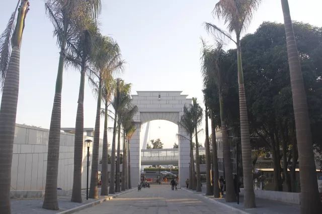 厦门一日游视频,厦门旅游最新最全消息