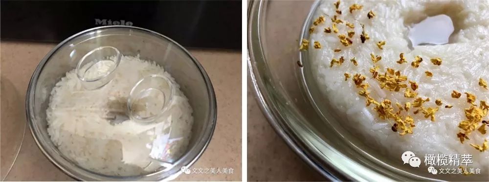 橄榄大师｜《鼎边偶寄·厨娘》