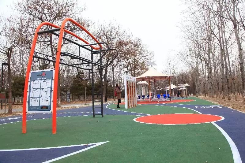 「亦社情」您造么？文化园建了个“高科技”健身广场