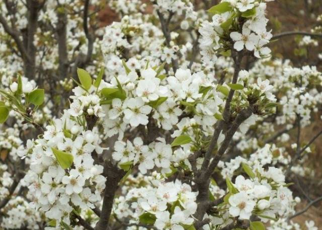 汉中一日游攻略高铁,汉中周边2-3天短途旅游坐高铁