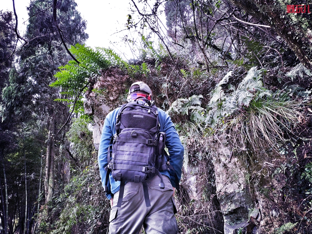 奈特科尔mh12v2和mh12se哪款好,奈特科尔mh10v2和mh12v2