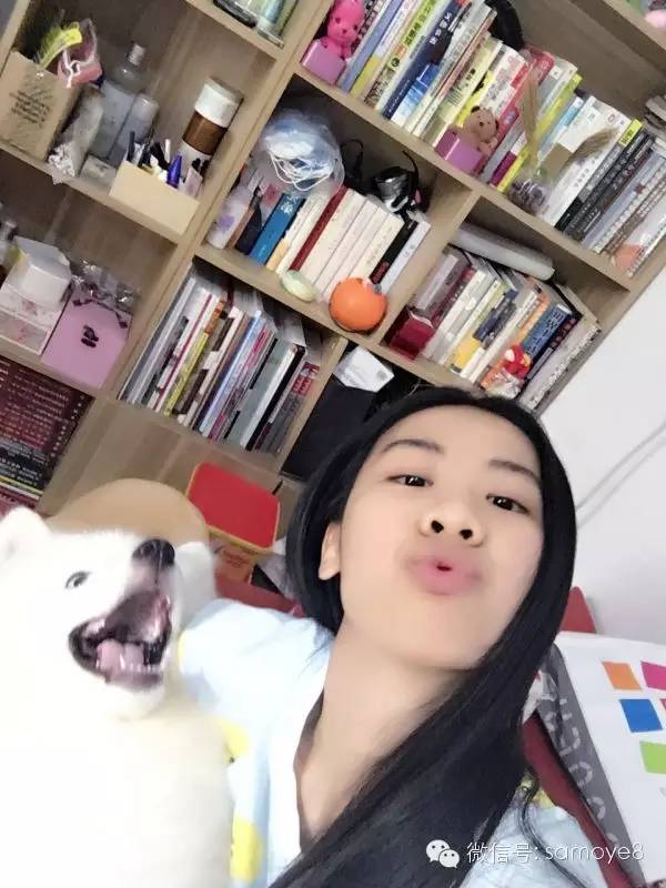 关于萨摩耶可爱的照片,萨摩耶有胎毛吗