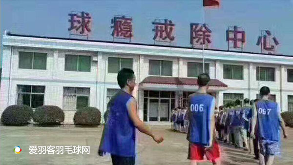 你为羽毛球付出了多少,为什么打羽毛球要花那么多钱