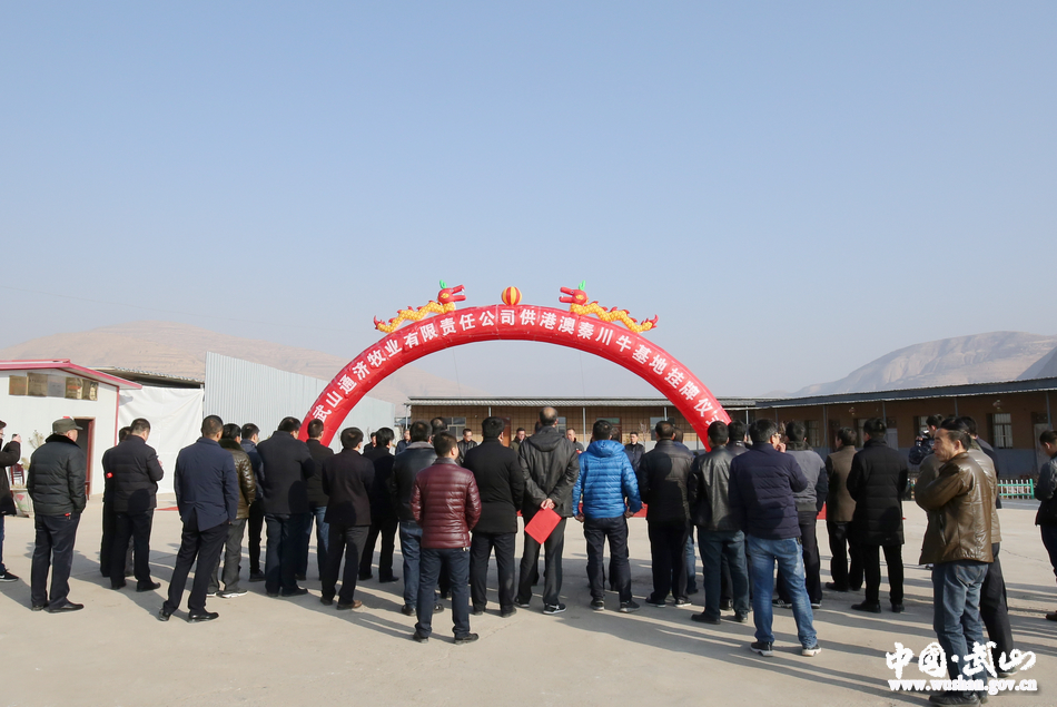 武山通济牧业有限责任公司供港澳秦川牛武山基地揭牌