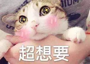 1000左右轻奢品牌包包,1000块左右的轻奢包包