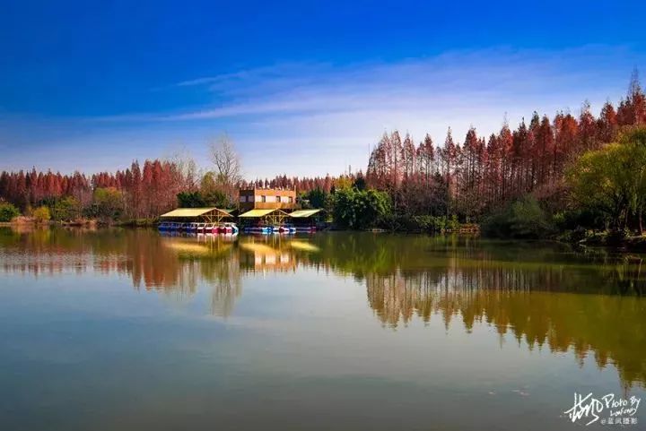 一年只有一次能进入的景点,办年票可以去哪些景区