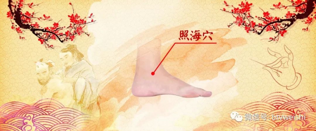 贺氏针灸养生堂视频全集,贺氏针灸养生堂