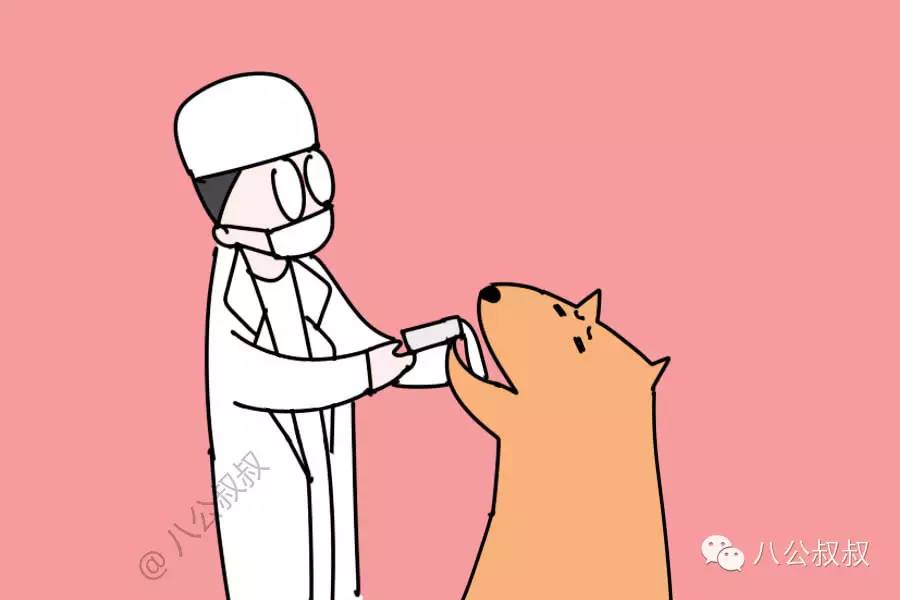 狗误食老鼠药怎么急救,狗狗误食了东西怎么急救