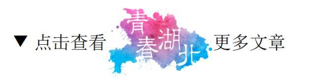 青马是什么马图片,大青马和一般的马