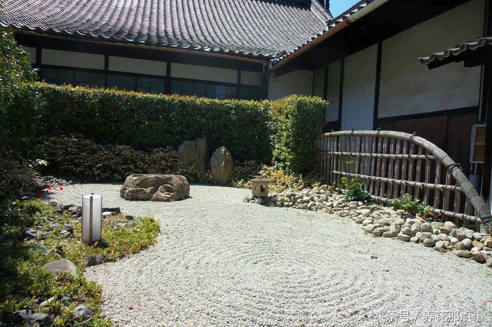 在办公室里应该摆什么样的花,高山流水盆景办公室小禅意