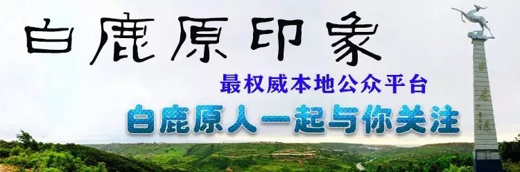 西安白鹿原上那些年妈妈做的饭——“老鸹撒”