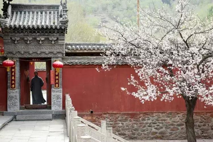 春节旅游一定要去五台山吗,今年冬天一定要去一趟五台山