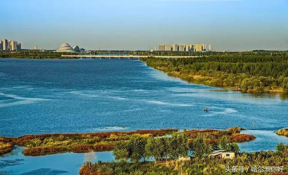 2018年哈尔滨各区县排名,2018年哈尔滨各区gdp