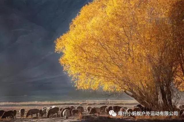 帕米尔高原肖贡巴哈尔节,帕米尔高原上的肖贡巴哈尔节