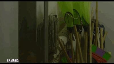 “棍棒教育”毁掉天才型游泳选手！韩国再现发人深省神级电影