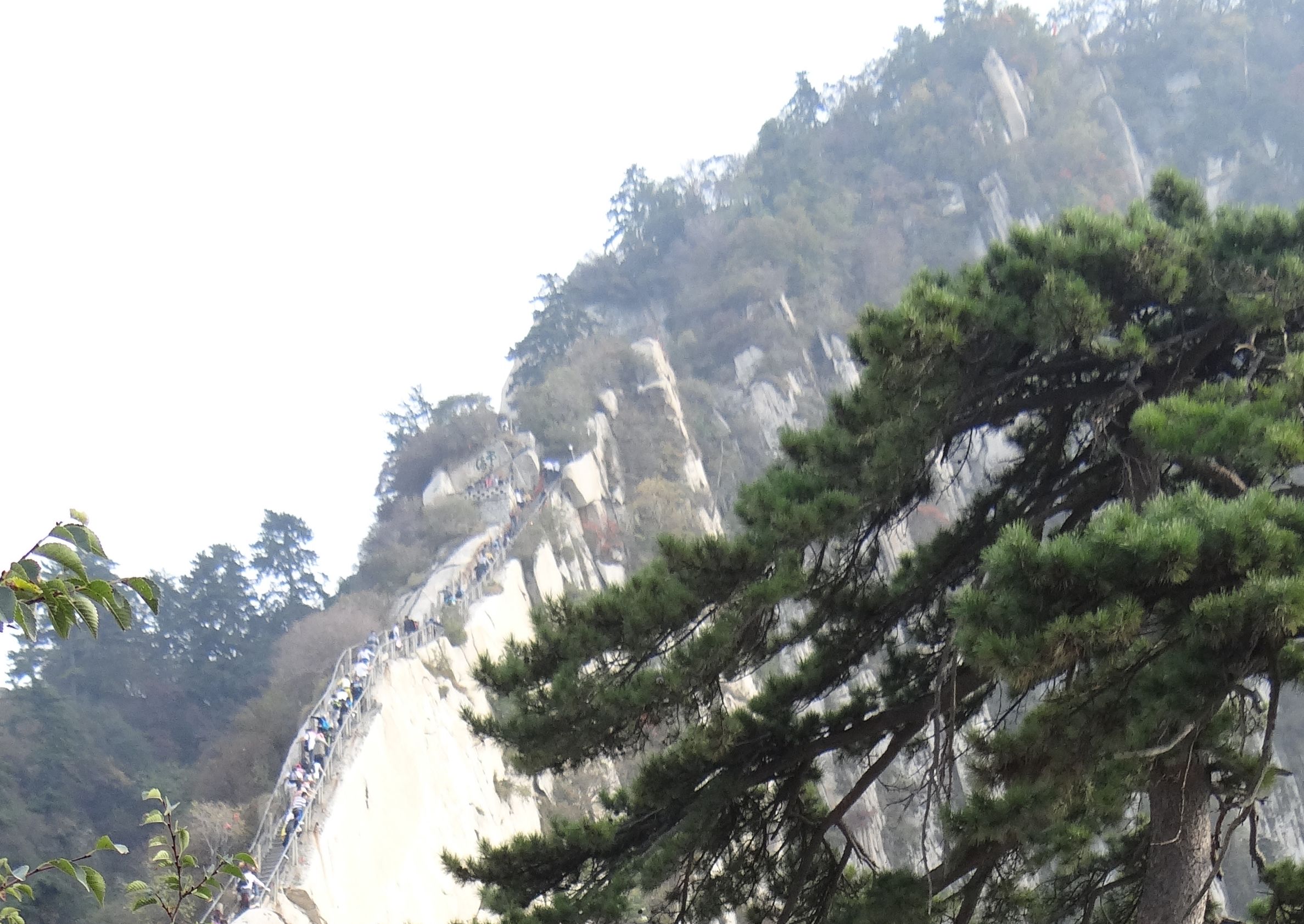 还记得临朐有句土话叫“待排儿”吗？