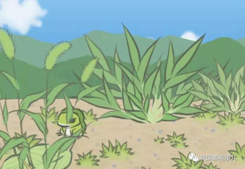 怎么才能让蛙蛙回家,怎么能让蛙快点回来