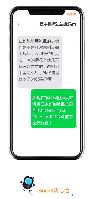 在新加坡怎么查询手机流量明细,在新加坡用中国手机流量