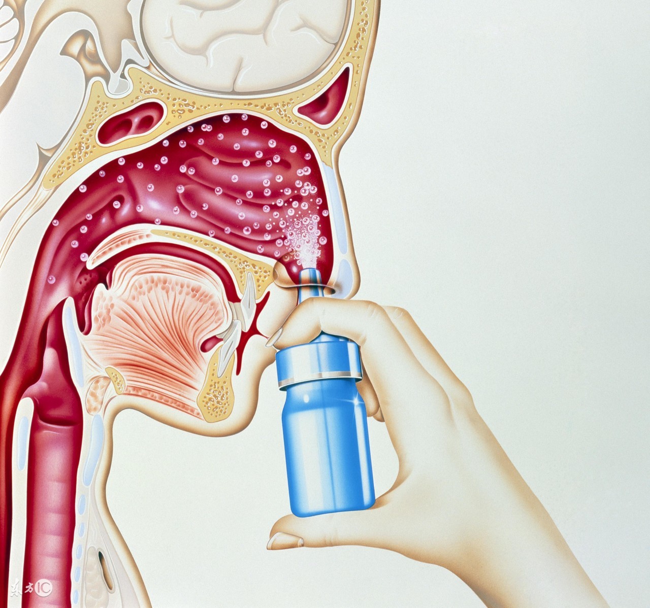 宝宝感冒流涕两周还没好全？有可能得了这种病，听听医生怎么说
